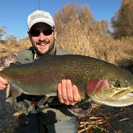 乡村民宿 Casa Rosalia Castillonroy