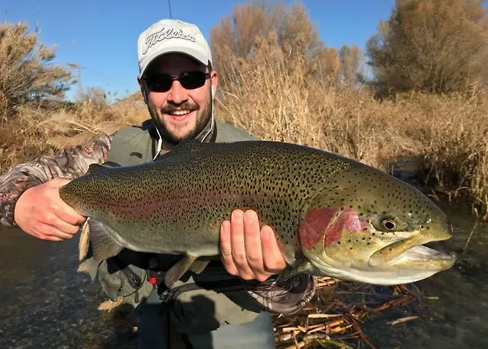 Casa di campagna Casa Rosalia Castillonroy