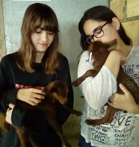 Casa Rosalia Casa di campagna